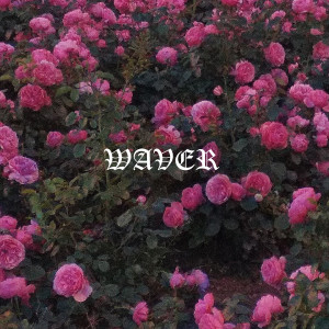 收聽Waver的Питер Gang歌詞歌曲