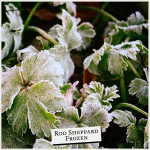 收聽Rod Sheppard的Frozen歌詞歌曲