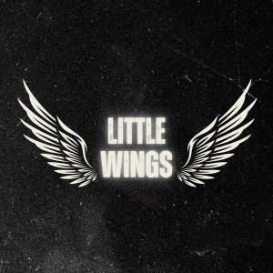 ดาวน์โหลดและฟังเพลง ไม่อาจรักใครในตอนนี้ พร้อมเนื้อเพลงจาก Little Wings