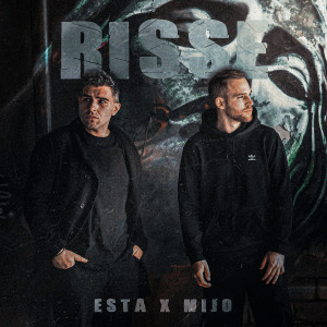 Listen to Risse song with lyrics from EstA