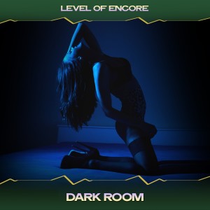 Level Of Encore的專輯Dark Room