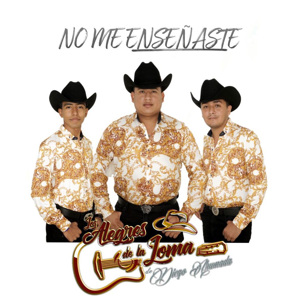 No Me Enseñaste