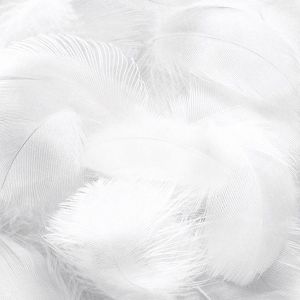 ดาวน์โหลดและฟังเพลง Great Spirit (转场首选) พร้อมเนื้อเพลงจาก 泡泡酱