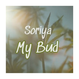 อัลบัม My Bud ศิลปิน Soriya