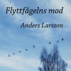 Anders Larsson的專輯Flyttfågelns mod