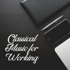 Dengarkan lagu Sonata No. 37 in E Major, Hob. XVI: 22: I nyanyian Joseph Alenin dengan lirik