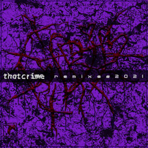 收聽Thotcrime的High on Data (Ari Liloia Remix)歌詞歌曲