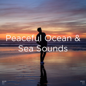 ดาวน์โหลดและฟังเพลง Calming Nature พร้อมเนื้อเพลงจาก Relajacion Del Mar