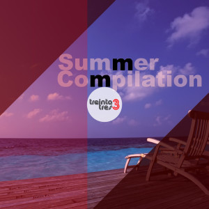 Summer Compilation dari Various Artists