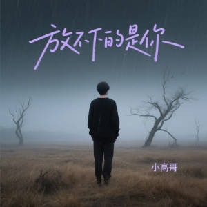 小高哥的专辑放不下的是你