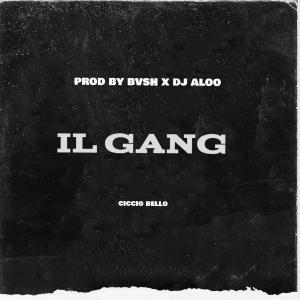 ดาวน์โหลดและฟังเพลง il GANG (feat. BVSH & DJ ALOO) (Explicit) พร้อมเนื้อเพลงจาก Ciccio Bello