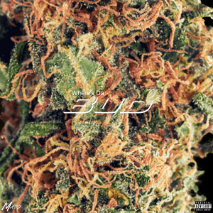 ดาวน์โหลดและฟังเพลง Where's da Bud (Explicit) พร้อมเนื้อเพลงจาก Madd Da Don