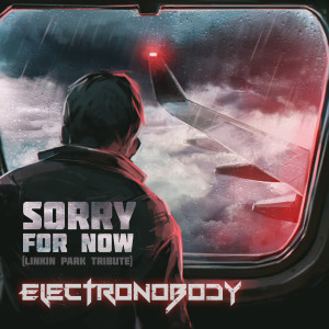 ElectroNobody的專輯Sorry For Now (Linkin Park Tribute)