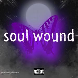 Panah的專輯Soul wound (feat. Panah) [Explicit]