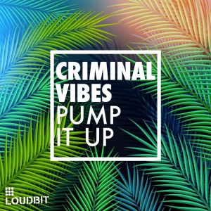 Criminal Vibes的專輯Pump It up (Paul Jockey 2015 Remix)