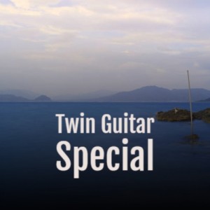 Album Twin Guitar Special oleh Various