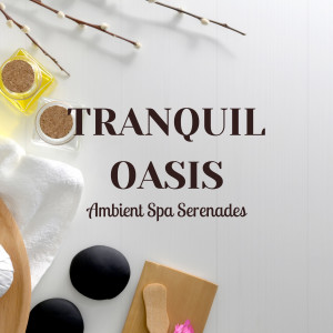 Asian Spa Music的專輯Tranquil Oasis: Ambient Spa Serenades