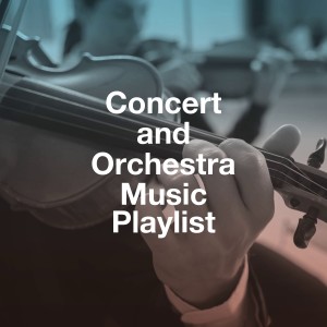 Listen to Violin Concerto No. 5 in a Major, K. 219 "Turkish": I. Allegro Aperto song with lyrics from Ukrainian Chamber Orchestra