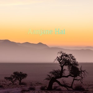 Listen to Aanjane Hai song with lyrics from Sonu Pandey