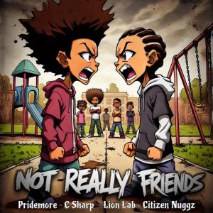 收聽Pridemore的Not Really Friends (feat. Lion Lab, C Sharp, Citizen Nuggz & Illinformed) (Explicit)歌詞歌曲