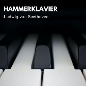 Listen to Piano Sonata N. 29 in B Flat Major, Op. 106 "Hammerklavier": Largo - Allegro - Allegro risoluto song with lyrics from Alfred Brendel