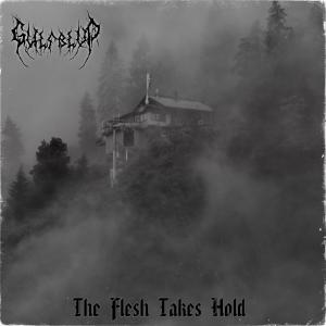 อัลบัม The Flesh Takes Hold ศิลปิน Gulf Blvd