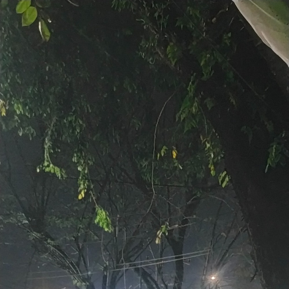 DJ UBUR UBUR IKAN LELE