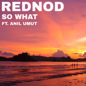 Listen to So What (Explicit) song with lyrics from Rednod