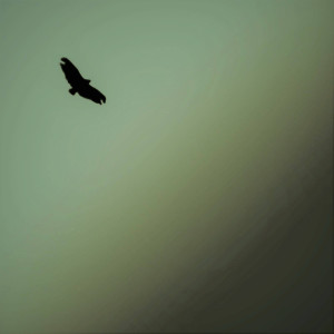 收听Luke MacRoberts的Empty Space歌词歌曲