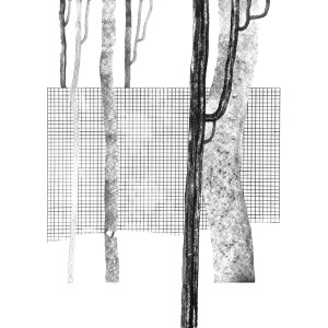 收聽Forest On Stasys的Alumen歌詞歌曲