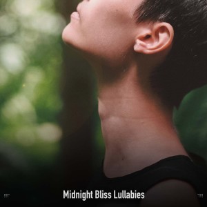 !!!!" Midnight Bliss Lullabies "!!!!