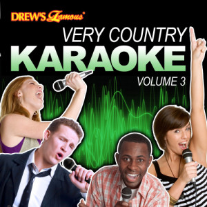 The Hit Crew的專輯Very Country Karaoke, Vol. 3