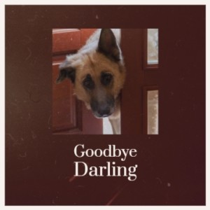 Dengarkan Goodbye Darling lagu dari Johnny Cash dengan lirik