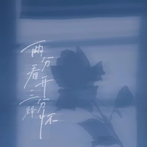 Album 两分看开三分释怀 from 