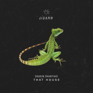 Listen to That House (Explicit) song with lyrics from Shahin Shantiaei