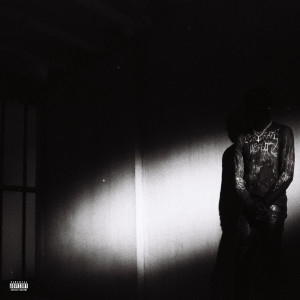 Listen to NOSTYLIST (Explicit) song with lyrics from Destroy Lonely