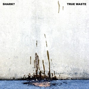 ดาวน์โหลดและฟังเพลง Let's Roll (Album) พร้อมเนื้อเพลงจาก Shark?