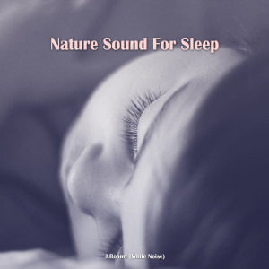 ดาวน์โหลดและฟังเพลง Wave Sound For Sleep พร้อมเนื้อเพลงจาก J.Roomy