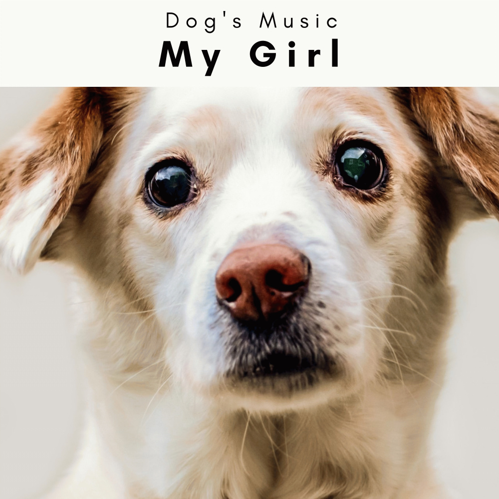 You are my Wagging Puppy