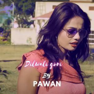 Album DILWALI GORI from Pawan
