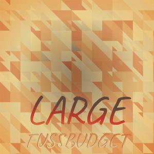 Various的专辑Large Fussbudget