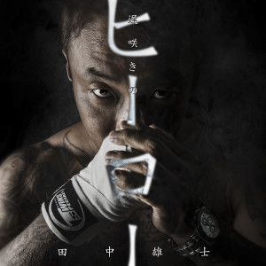 Listen to 遅咲きのヒーロー song with lyrics from 田中雄士