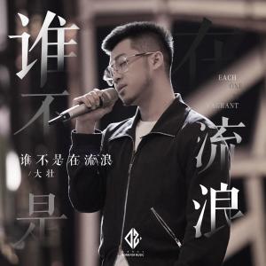 Album 誰不是在流浪 oleh 大壮