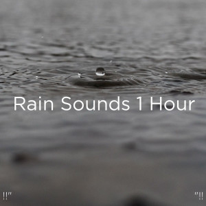 Dengarkan Rain Noise lagu dari Meditation Rain Sounds dengan lirik