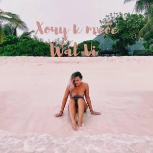 Listen to Хочу к тебе song with lyrics from Wal Vi
