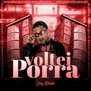 收聽Sony Boladão的Voltei Porra歌詞歌曲