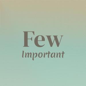 ดาวน์โหลดและฟังเพลง Few Important พร้อมเนื้อเพลงจาก Rery Buick