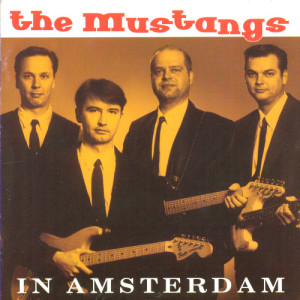 ดาวน์โหลดและฟังเพลง The Cruel Sea พร้อมเนื้อเพลงจาก The Mustangs