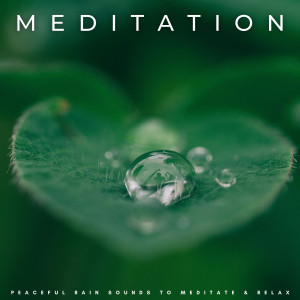 อัลบัม Meditation: Peaceful Rain Sounds To Meditate & Relax ศิลปิน Soothing White Noise for Relaxation