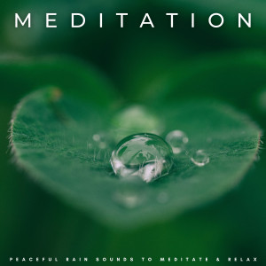 ดาวน์โหลดและฟังเพลง Focus พร้อมเนื้อเพลงจาก Meditation Music Club